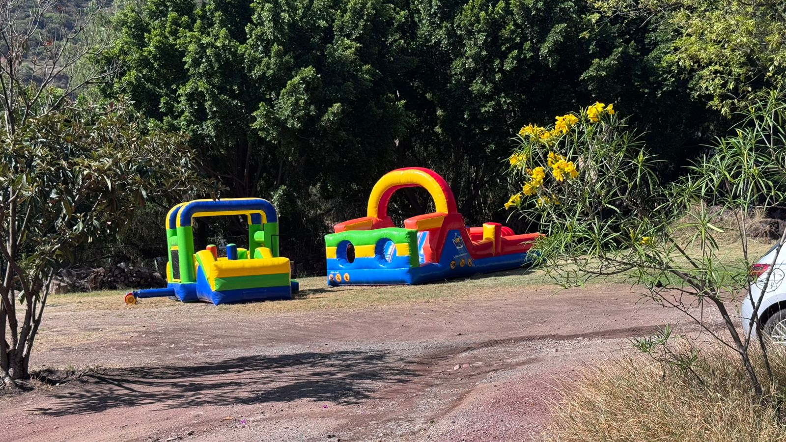 Renta de inflable con resbaladilla en Querétaro